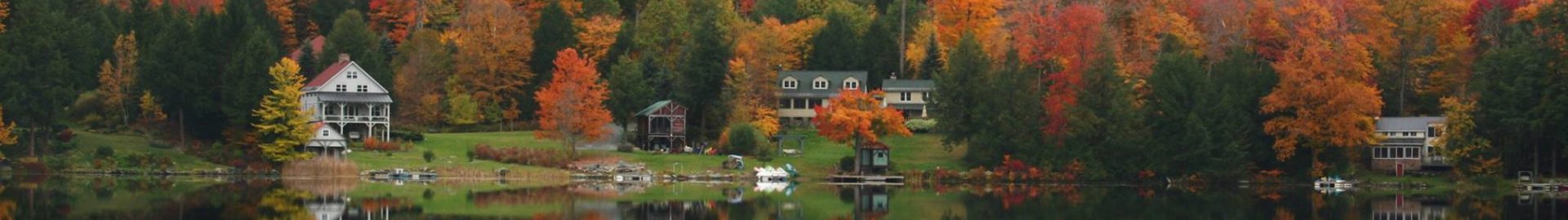 Bowman Lake Association